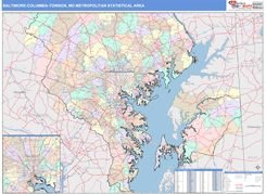 Baltimore-Columbia-Towson Metro Area Digital Map Color Cast Style